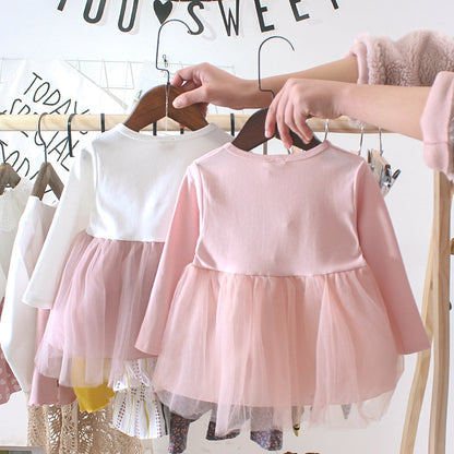 Baby Girl’s Floral Dress with Tulle Skirt and Lace Accents